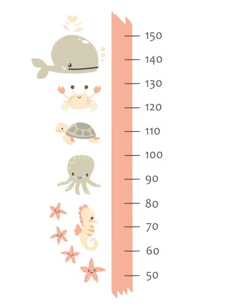 Medidor animales del mar