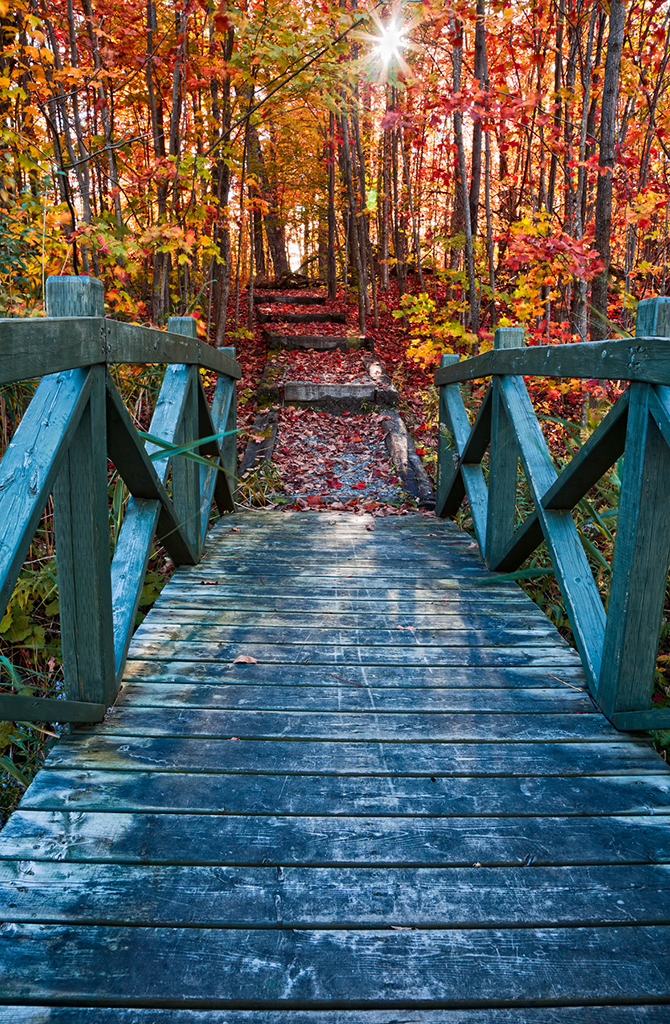 Puente en otoño