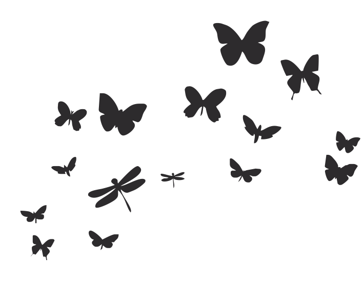 Mariposas y libélulas