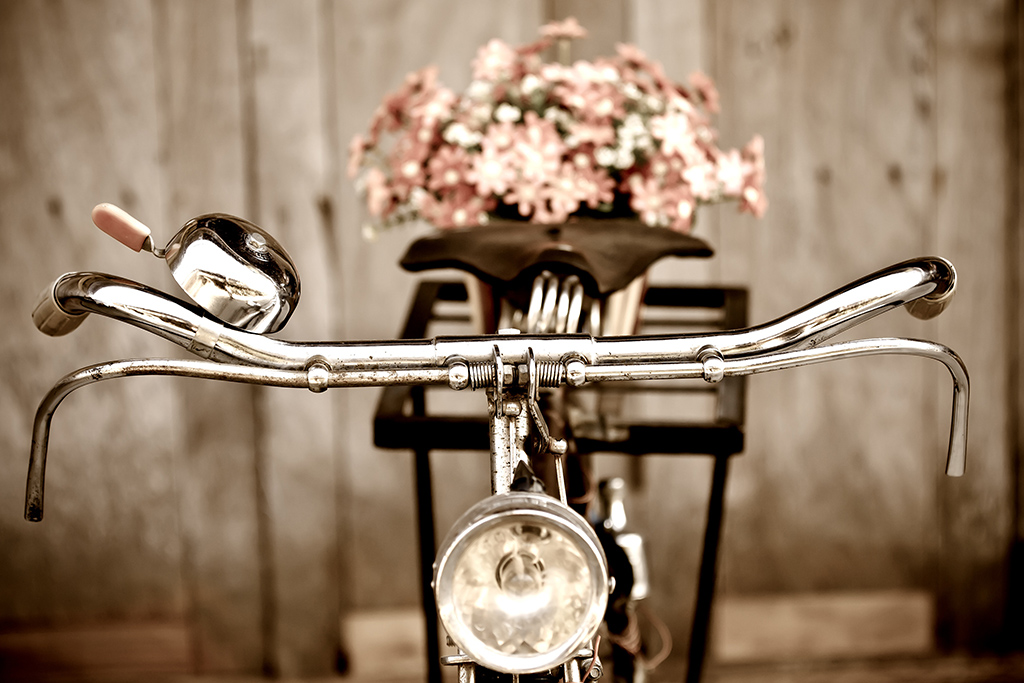 Vieja bicicleta y flores