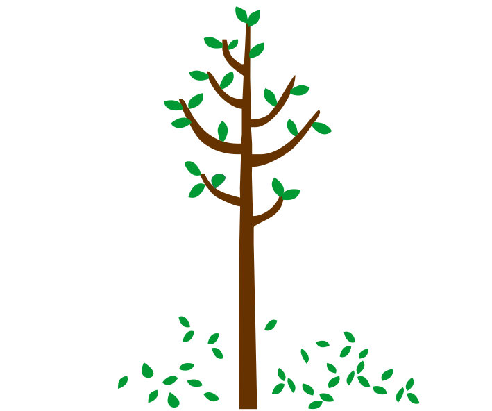 Árbol 15