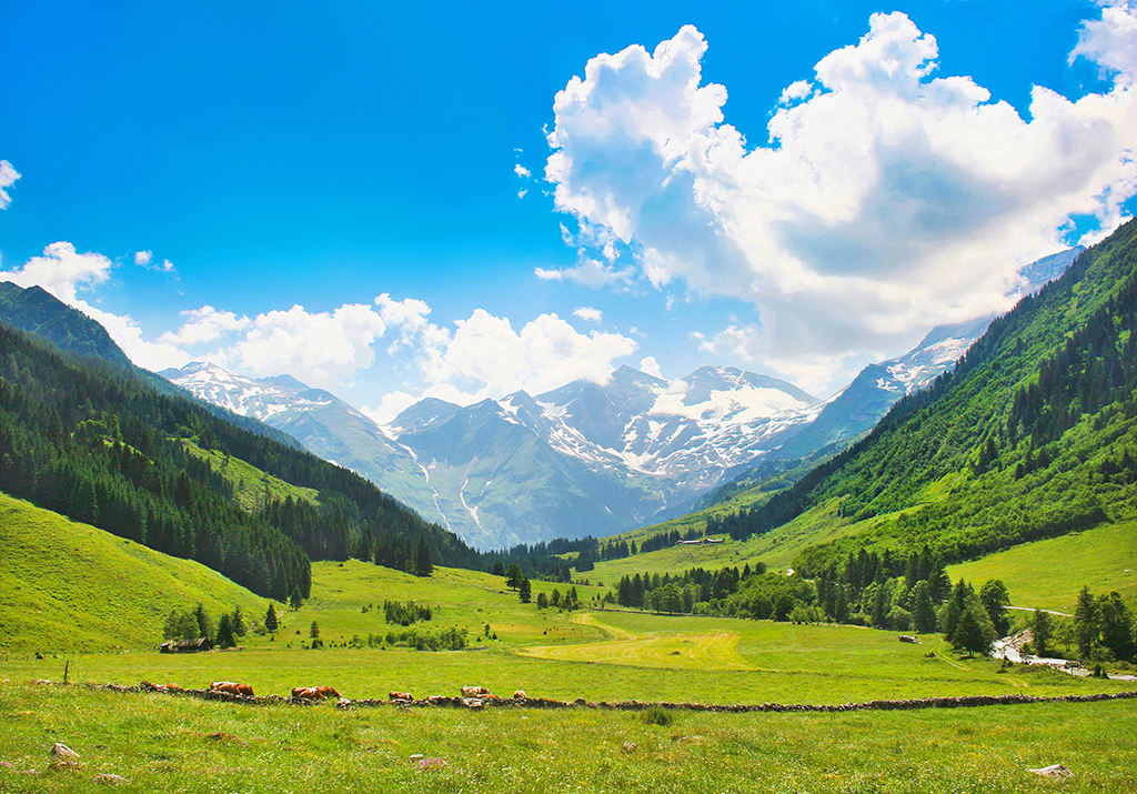 Los Alpes (Austria)