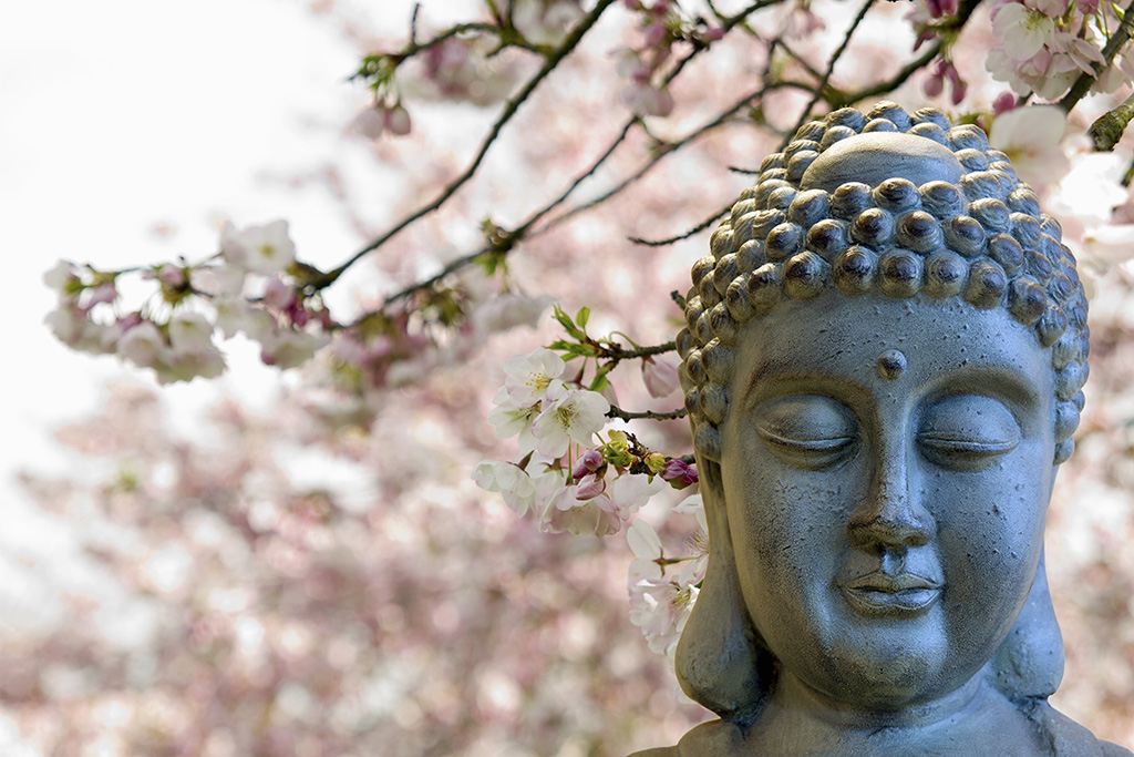 Buda en jardín