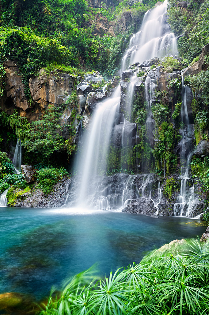 Catarata selva