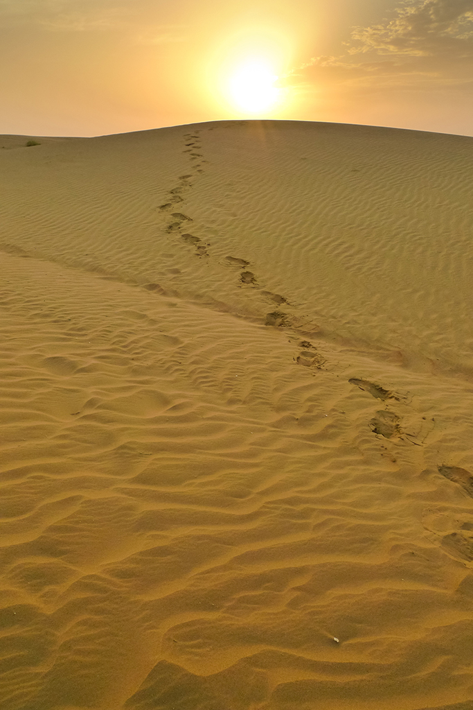 Desierto en Rajasthan (India)