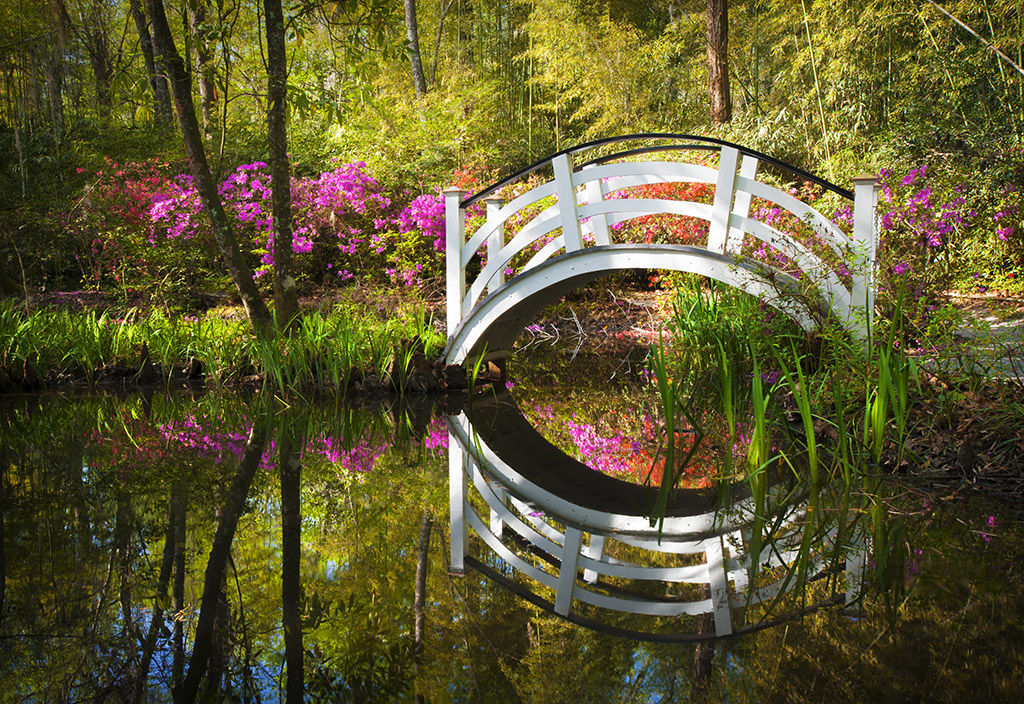 Puente y azaleas