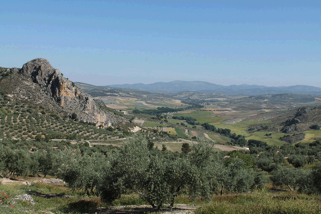 Paisaje andaluz 1