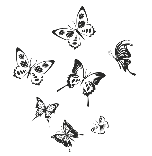 Conjunto de mariposas