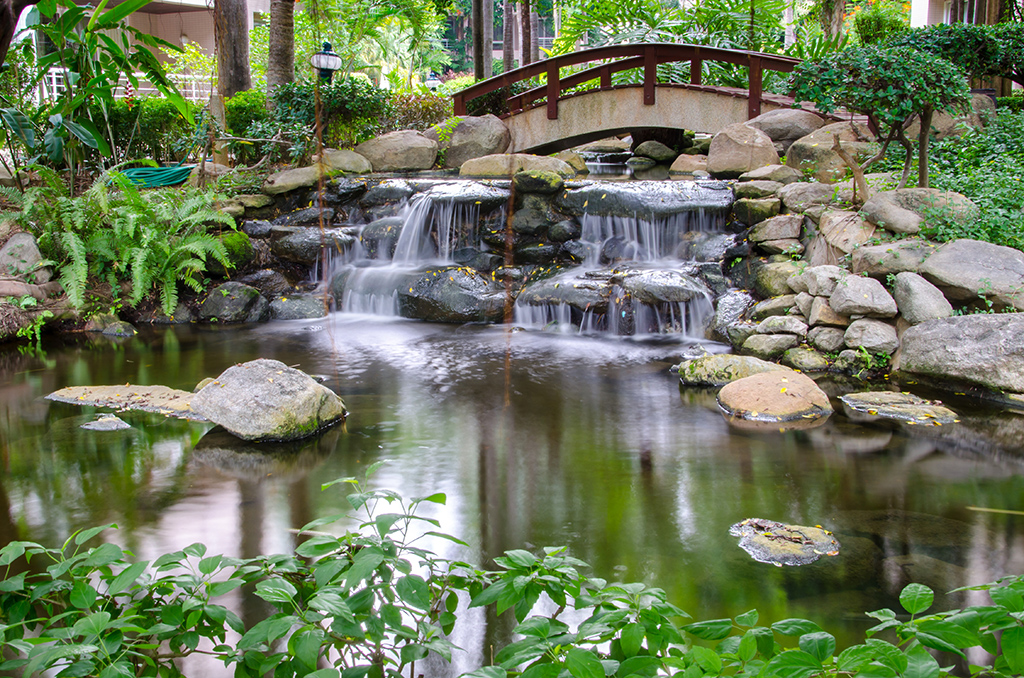 Cascada en el jardín