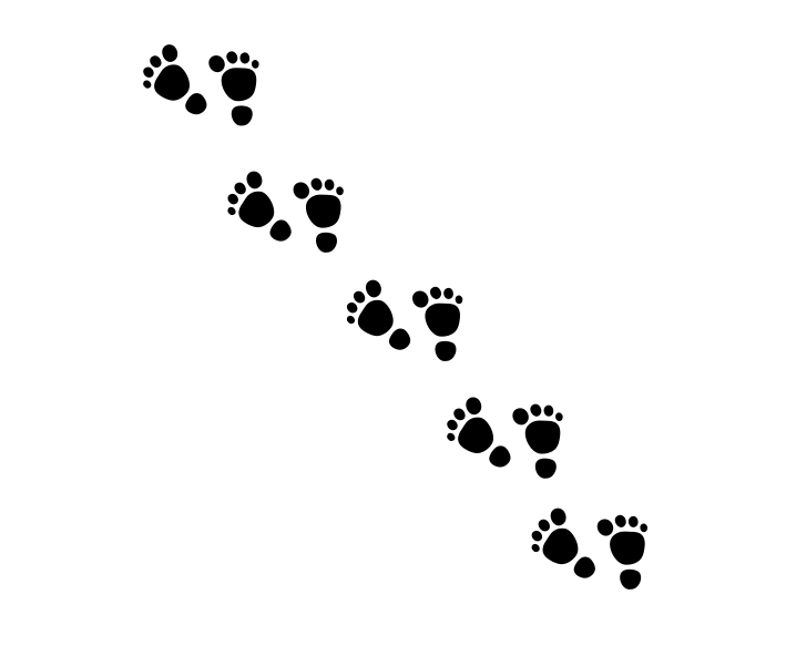 Huellas niño